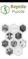 Reptile Jigsaw Puzzle Game poster