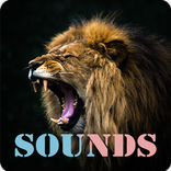 Lion Roar Sound RIngtones