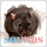 Rat Sound Ringtones