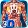 ”Female Anatomy 3D : Female Body Visualizer