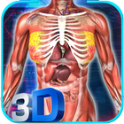 Female Anatomy 3D : Female Body Visualizer icon