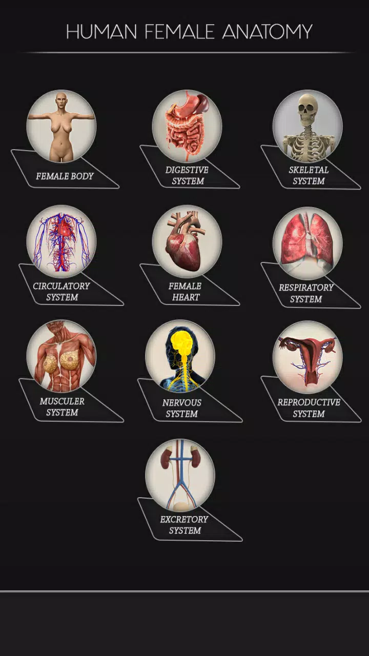 Female Anatomy 3D : Female Body Visualizer APK للاندرويد تنزيل