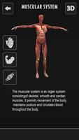 Female Anatomy 3D : Female Body Visualizer capture d'écran 1