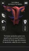 Female Anatomy 3D : Female Body Visualizer ภาพหน้าจอ 2