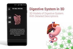 Human digestive system anatomy in 3D screenshot 1