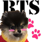 BTS Pocket Pet ícone