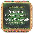 Shahih At-Targhib Wa At-Tarhib icône