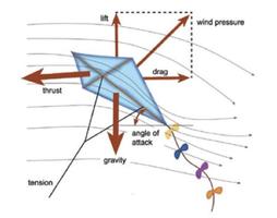 Easy kite design ideas screenshot 2