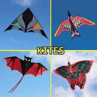 Kites Designs Affiche