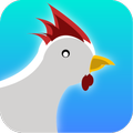 Rolly Birdie - Egg Finder