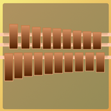 Real Xylophone - Learn & Play