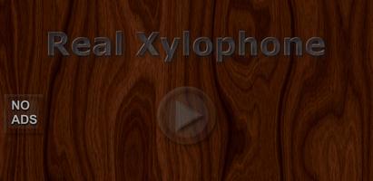 Real Xylophone - Learn & Play screenshot 1