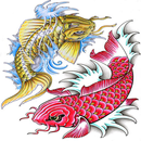 Koi Fish Sketch APK