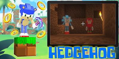 Hedgehog boom mod screenshot 1