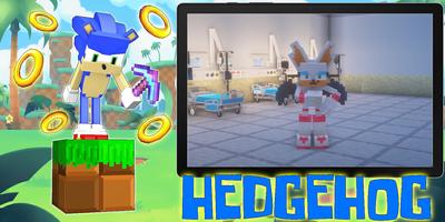 Hedgehog boom mod screenshot 2