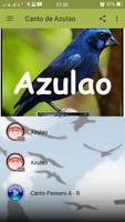 Canto de Azulao capture d'écran 1