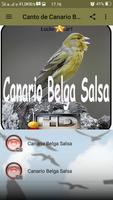 Canto de Canario Belga Salsa capture d'écran 1