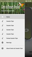 Canto do Canario Tipio 포스터