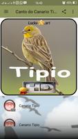 Canto do Canario Tipio screenshot 1