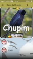 Canto de Chupim ảnh chụp màn hình 1