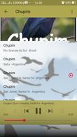 Canto de Chupim ảnh chụp màn hình 3