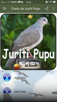 Canto de Juriti Pupu 截图 1