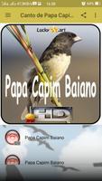 Canto de Papa Capim Baiano screenshot 1