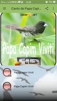 1 Schermata Canto de Papa Capim Viviti