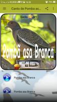 برنامه‌نما Canto de Pomba asa Branca عکس از صفحه