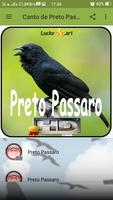 Canto de Preto Passaro Ekran Görüntüsü 1