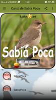 Canto de Sabia Poca Ekran Görüntüsü 1