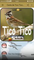 Canto de Tico Tico Cemitério Ekran Görüntüsü 1