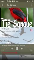 Canto de Tie Sangue Ekran Görüntüsü 3