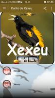 Canto de Xexeu 스크린샷 1