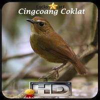 Cingcoang Coklat Top تصوير الشاشة 3