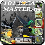 Call's Bird Southeast Asia APK