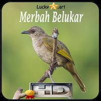 Merbah Belukar Top capture d'écran 3