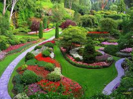 Garden Wallpaper اسکرین شاٹ 3