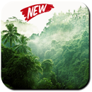 Jungle Wallpaper APK