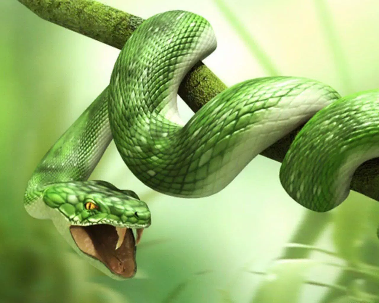 Tải xuống APK Snake Wallpaper cho Android