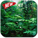 Rainforest Wallpaper-APK