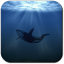 Whale Wallpapers APK