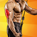 Effective Triceps Exercises APK