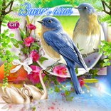 Buenos Días GIF 2023