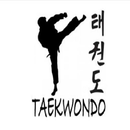 taekwondo practice APK