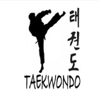 taekwondo practice icon