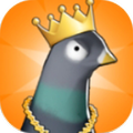 Bird Rush