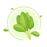 giải cứu thế giới xanh - tưới 