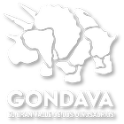 GONDAVA icône