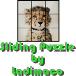”Sliding Puzzle